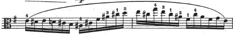 Fuchs Twelve Caprices #8